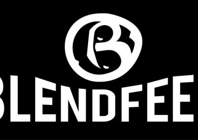 blendfeel logo